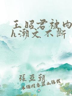 王昭君被肉干高h潮文不断