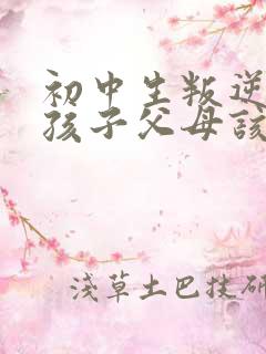 初中生叛逆期的孩子父母该怎么沟通