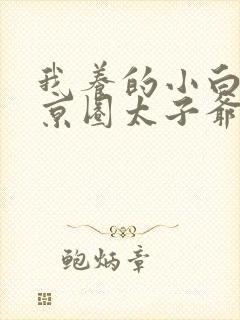 我养的小白脸是京圈太子爷小说