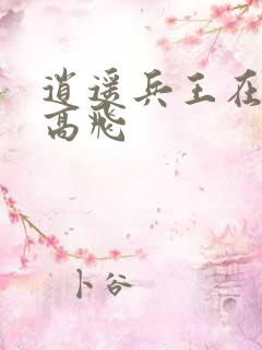 逍遥兵王在都市高飞