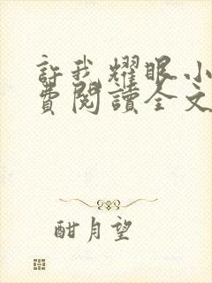 许我耀眼小说免费阅读全文最新章节