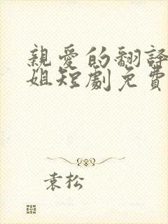 亲爱的翻译官小姐短剧免费观看全集高清