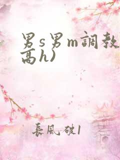 男s男m调教(高h)