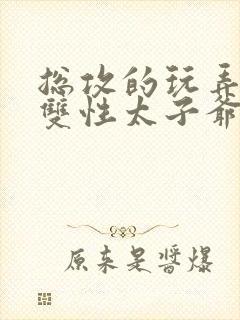 总攻的玩弄调教双性太子爷