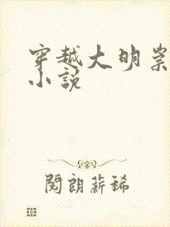 穿越大明崇祯的小说