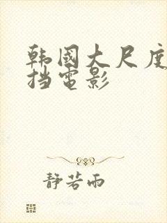 韩国大尺度无遮挡电影