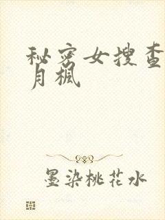 秘密女搜查官冬月枫
