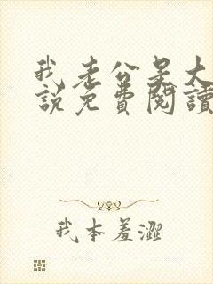 我老公是大佬小说免费阅读