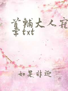 首辅大人宠妻日常txt