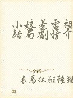 小娘惹电视剧大结局剧情介绍