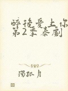 醉后爱上你泰剧第2季泰剧