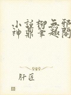 小说柳无邪吞天神鼎笔趣阁