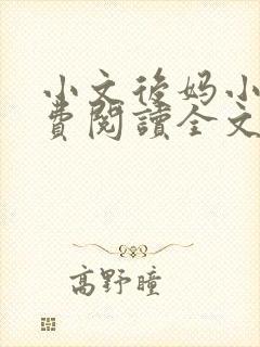 小文后妈小说免费阅读全文最新章节