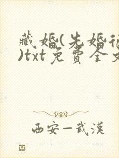 藏婚(先婚后爱)txt免费全文阅读