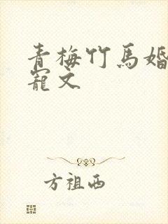 青梅竹马婚后甜宠文