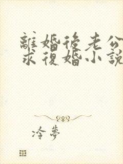 离婚后老公总是求复婚小说免费阅读