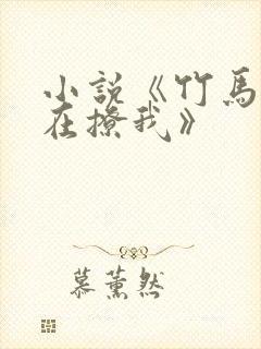 小说《竹马一直在撩我》