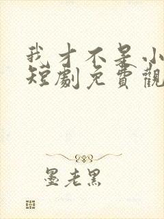 我才不是小可怜短剧免费观看全集