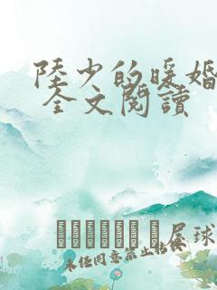 陆少的暖婚新妻 全文阅读