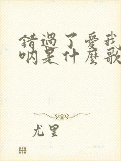 错过了爱我的人呐是什么歌