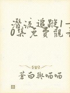 潜流追踪1—40集免费观看电视剧