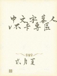 中文字幕人妻av不卡专区