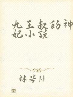 九王叔的神医毒妃小说