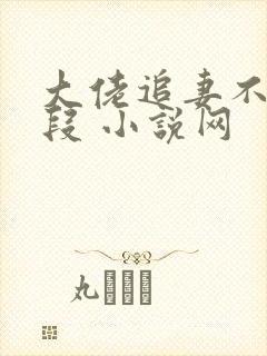 大佬追妻不择手段 小说网