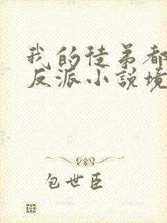 我的徒弟都是大反派小说境界划分