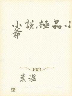 小说,极品小侯爷