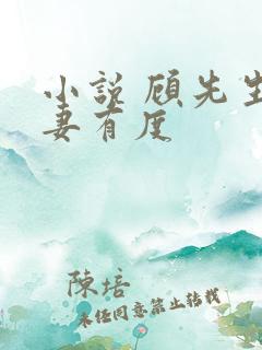 小说 顾先生宠妻有度