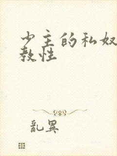 少主的私奴虐调教性