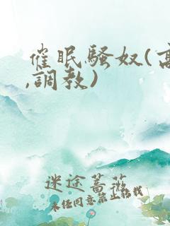 催眠骚奴(高h,调教)