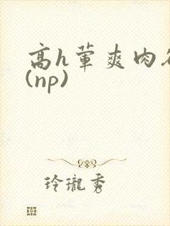 高h荤爽肉欲文(np)
