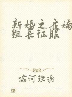 新婚之夜娇妻被粗长征服