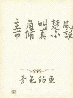 主角叫楚风的都市修真小说