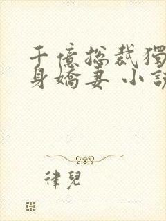 千亿总裁独宠替身娇妻 小说