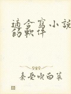 适合写小说大纲的软件