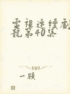 电视连续剧于成龙第40集