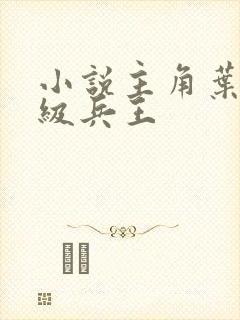 小说主角叶谦超级兵王