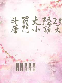 斗罗大陆2绝世唐门小说天域小说