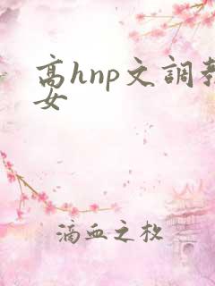 高hnp文调教女