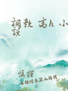 调教 高h 小说