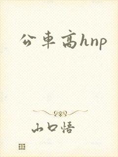 公车高hnp