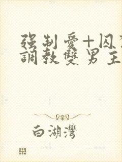 强制爱+囚禁+调教双男主