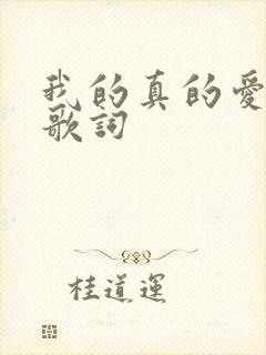 我的真的爱上你歌词