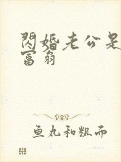 闪婚老公是亿万富翁