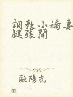 调教小娇妻h把腿张开