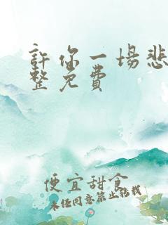 许你一场悲欢完整免费