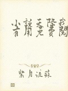 小说天降我才必有用免费阅读